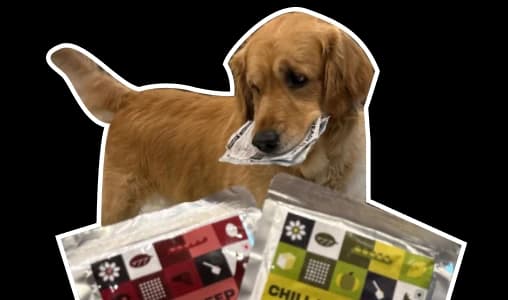 My dog emptied the bowl in 30 seconds- not even exaggerating. I highly recommend the products for all working pet-families.