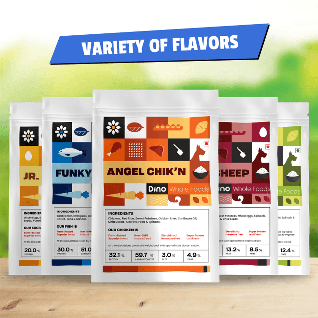 5 Recpies - Taster Pack