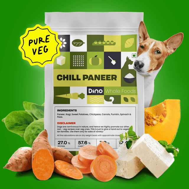Chill Paneer
